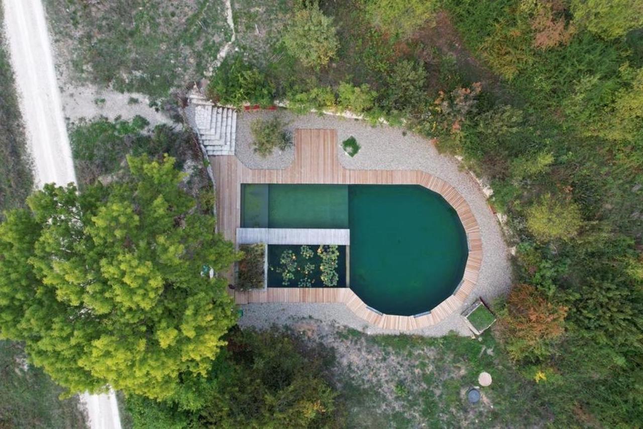 Maison Terre Les Cabanes De Fallot - Sauna Bain-Froid Piscine Naturelle L'isle-Bouzon Kültér fotó