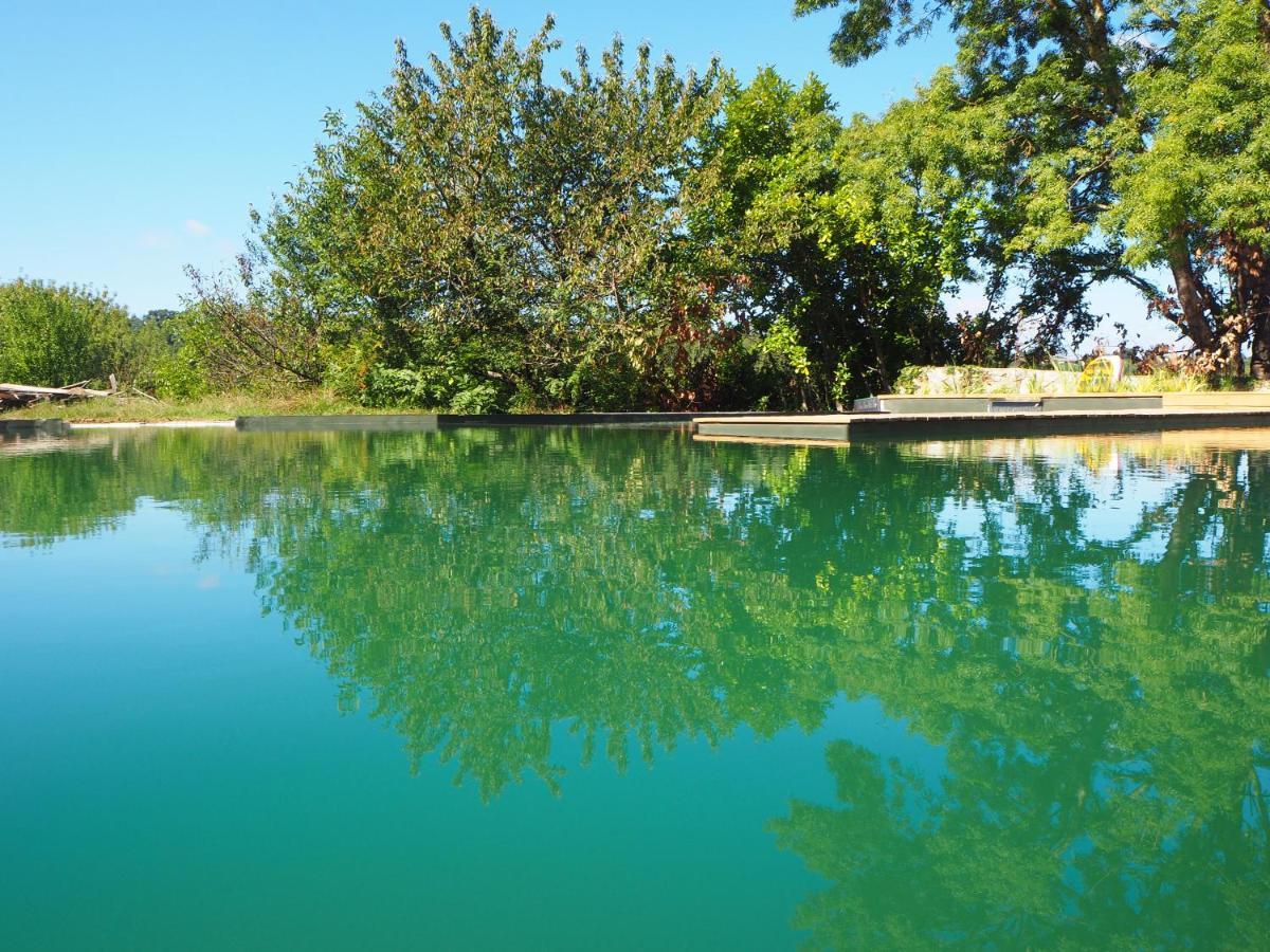 Maison Terre Les Cabanes De Fallot - Sauna Bain-Froid Piscine Naturelle L'isle-Bouzon Kültér fotó